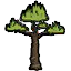 木薯树