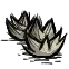 山葵种子