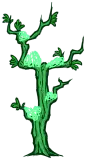柳树