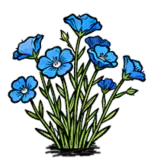 蓝亚麻花