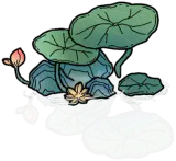 桃源荷花2