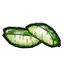 烤熟的芦荟