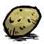 土豆