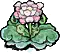 月光花