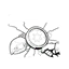 暴露