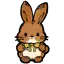 黄蝴蝶兔