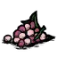 多汁浆果