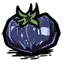 星空灵果