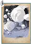 雪球咒