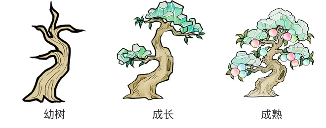 果珠树生长阶段 果珠树生长阶段