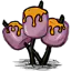 烤棉花糖