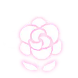 白魔法-花留余香