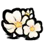 白梅花 白梅花