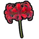 石蒜花