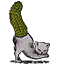 猫尾盆栽