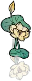 桃源荷花3