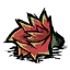 仙人掌花