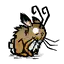 兔子