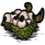 榴莲酿眼球