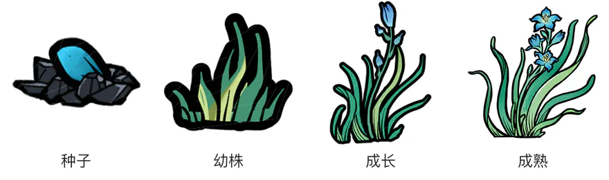 祝愈草生长阶段 祝愈草生长阶段