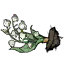 风铃草植株