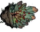 草莓丛根