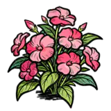 长春花