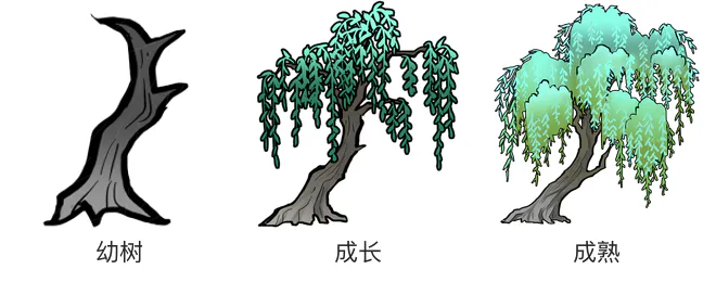 柳树生长阶段 柳树生长阶段