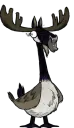 麋鹿宝宝 麋鹿宝宝