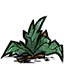 煮熟的茶