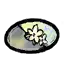《春日影》专辑