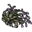 干枯的薰衣草草丛 干枯的薰衣草草丛