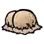 瑶柱