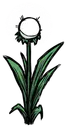 荧光花