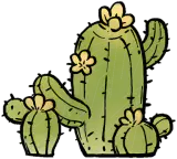 掌上花