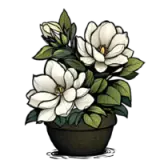 花丛 皮肤 4