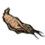 人参