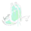 灵蝶